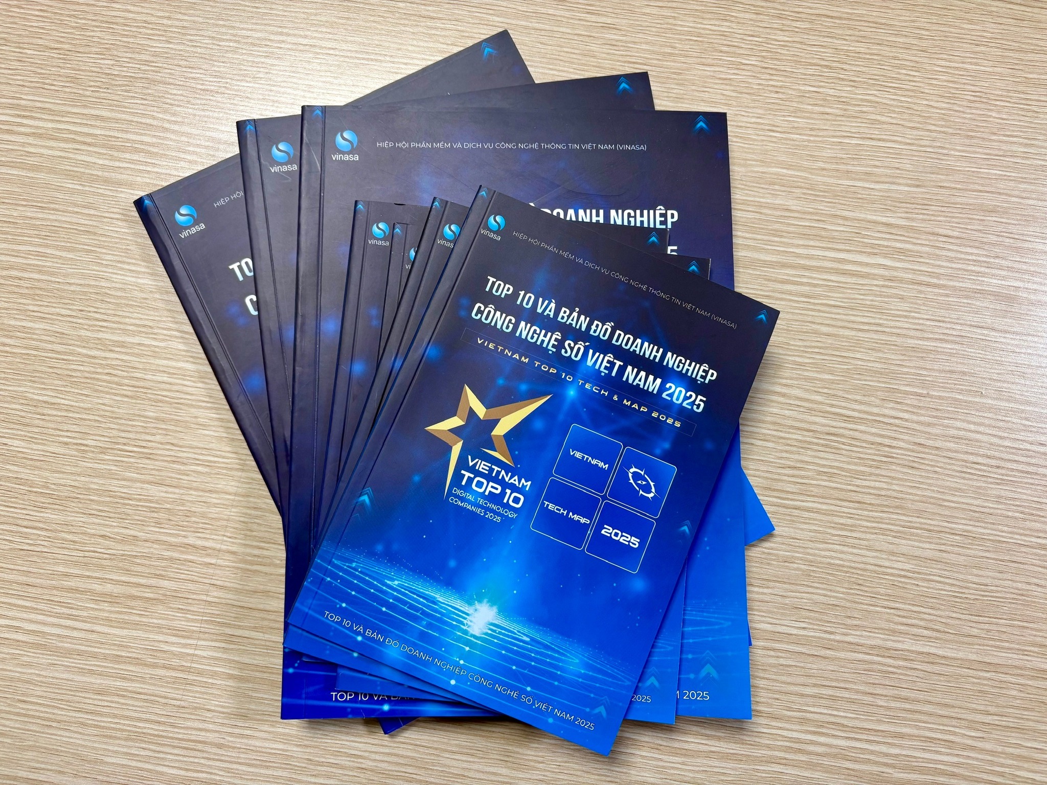 An-pham-Top-10-va-ban-do-doanh-nghiep-cong-nghe-so-2025-VINASA